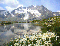 Swiss alps picture